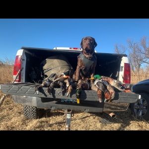 Meet your Posher, Travis